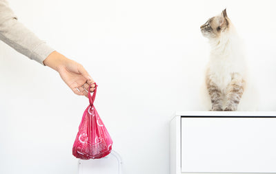 pet waste disposal collection