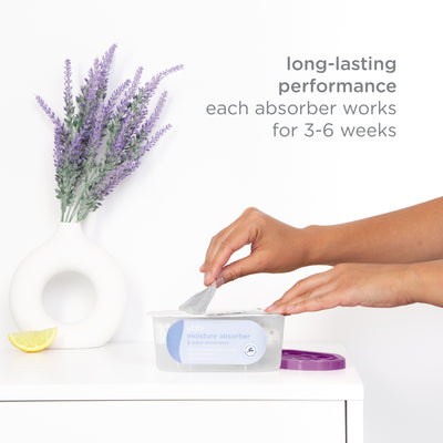 #color_lavender