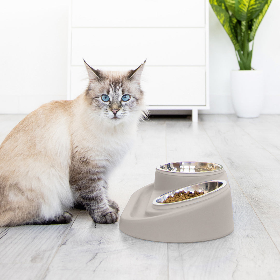 pet food bowl – ubbiworld