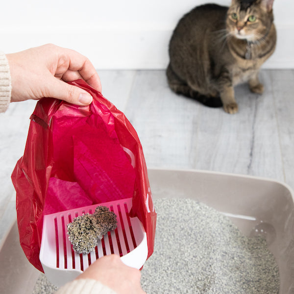 Ubbi pet waste sacks ubbiworld