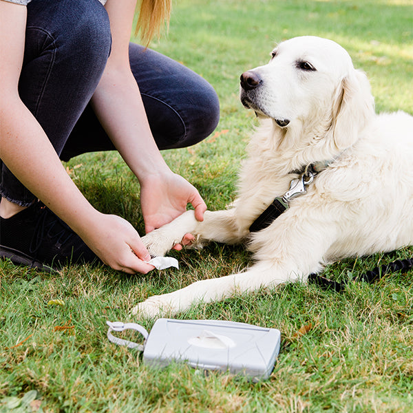 Ubbi On-the-Go Pet Wipes Dispenser, Grooming Wet Wipes Container